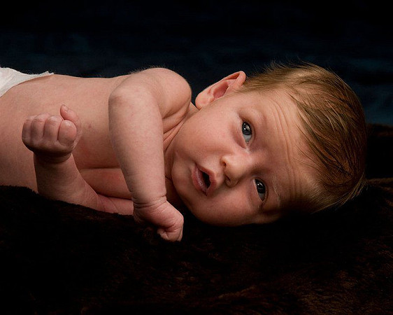 DLL_6395-Supino_Delanie-5-11