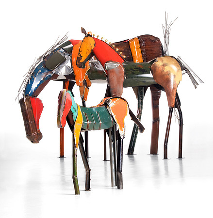 GROUP_HORSES_WHITE-Doug_Owen-6459_DAVISPHOTO2013