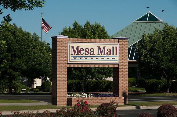 DLL_8489-MesaMall-6-13-DAVISPHOTO
